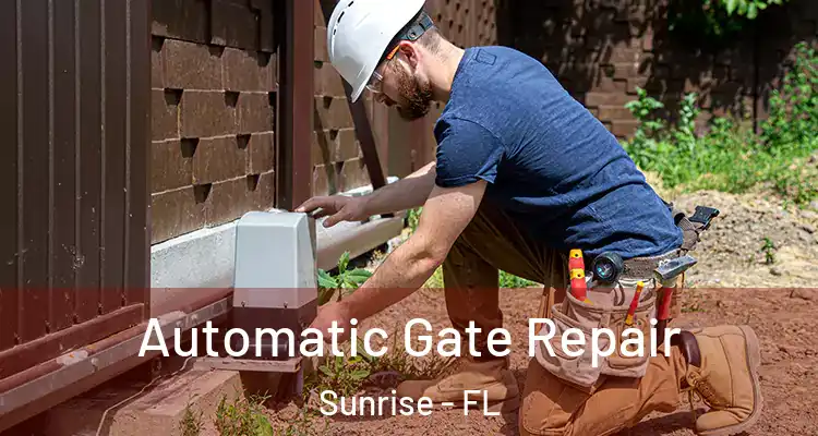  Automatic Gate Repair Sunrise - FL