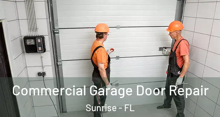  Commercial Garage Door Repair Sunrise - FL