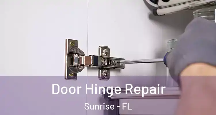  Door Hinge Repair Sunrise - FL