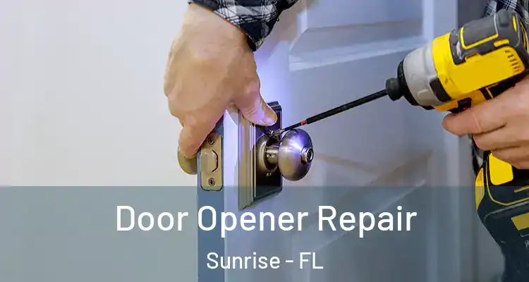  Door Opener Repair Sunrise - FL