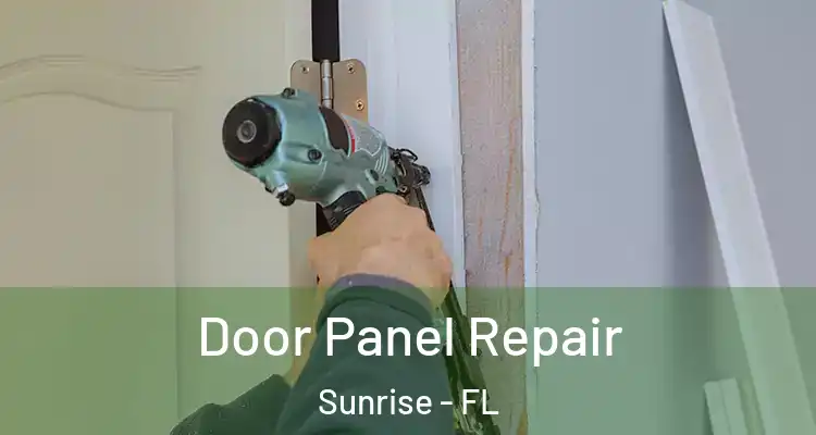  Door Panel Repair Sunrise - FL