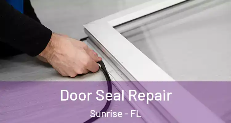  Door Seal Repair Sunrise - FL
