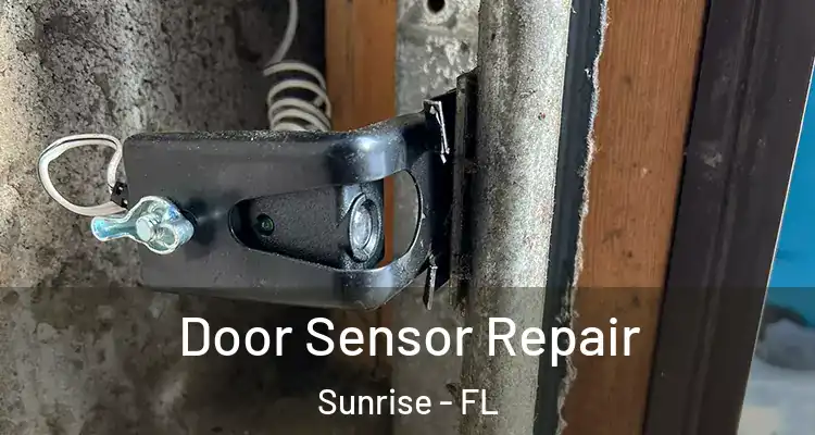  Door Sensor Repair Sunrise - FL