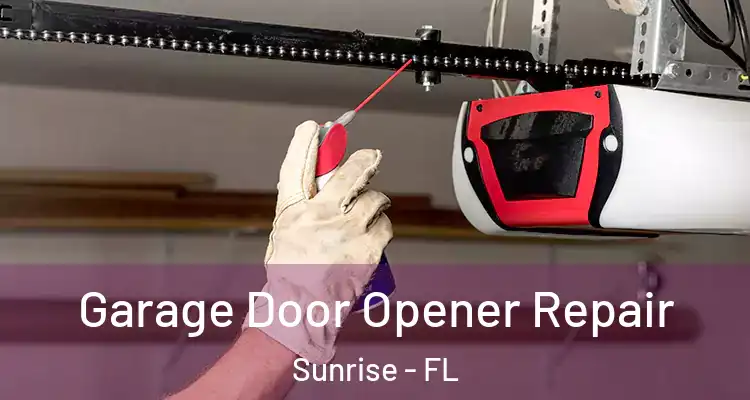  Garage Door Opener Repair Sunrise - FL