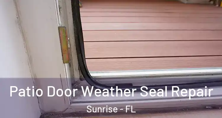  Patio Door Weather Seal Repair Sunrise - FL